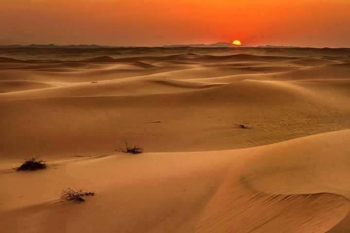 Camp Sahara Holidays محاميد الغزلان المظهر الخارجي الصورة