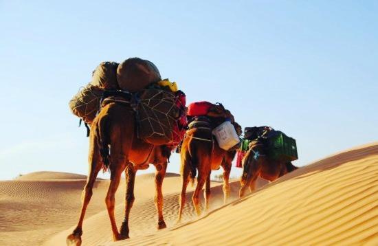 Camp Sahara Holidays محاميد الغزلان المظهر الخارجي الصورة