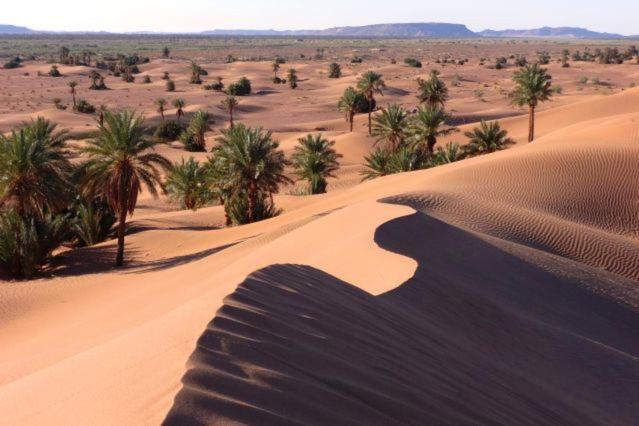 Camp Sahara Holidays محاميد الغزلان المظهر الخارجي الصورة