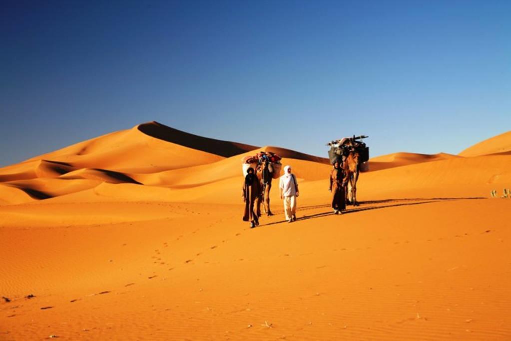 Camp Sahara Holidays محاميد الغزلان المظهر الخارجي الصورة