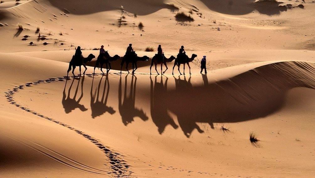 Camp Sahara Holidays محاميد الغزلان المظهر الخارجي الصورة