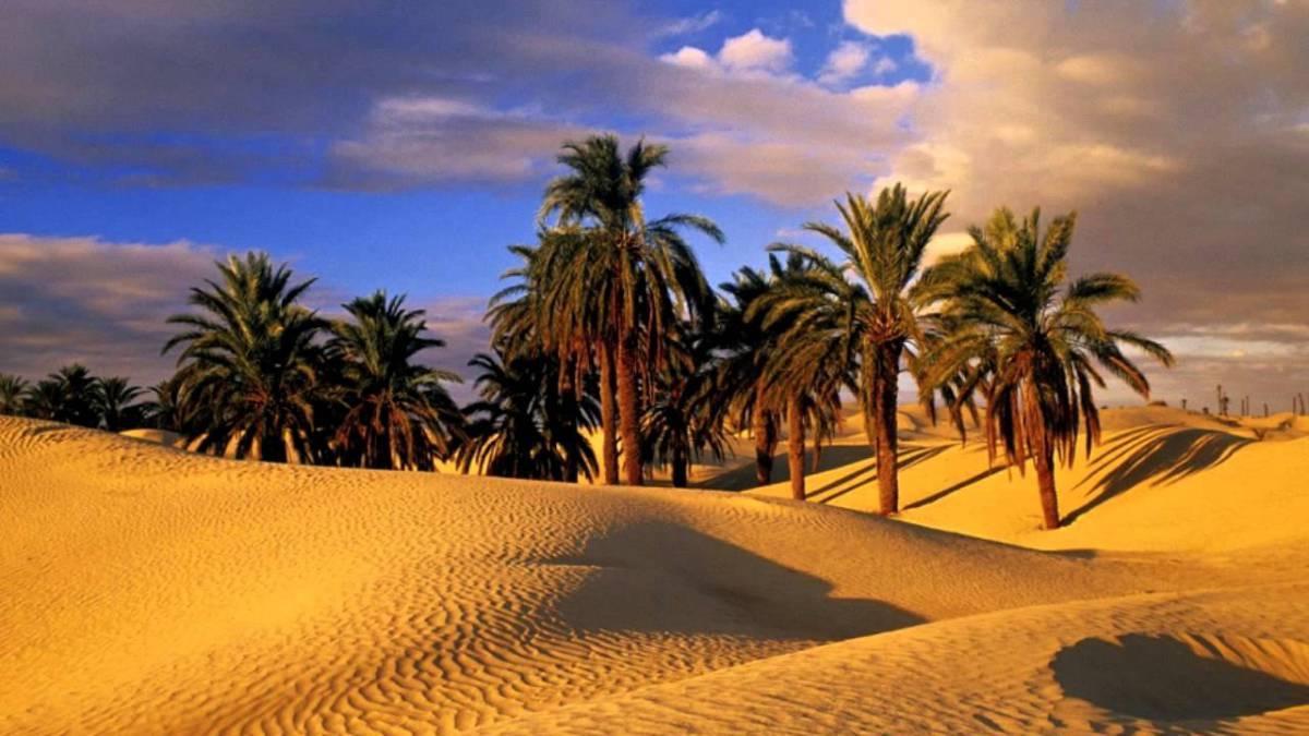 Camp Sahara Holidays محاميد الغزلان المظهر الخارجي الصورة