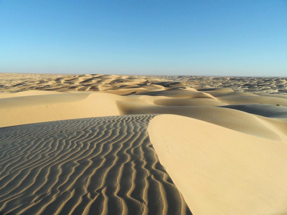 Camp Sahara Holidays محاميد الغزلان المظهر الخارجي الصورة