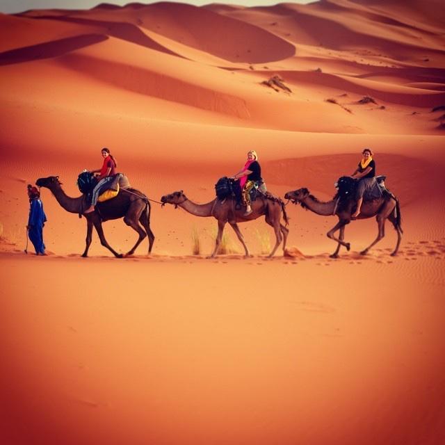 Camp Sahara Holidays محاميد الغزلان المظهر الخارجي الصورة