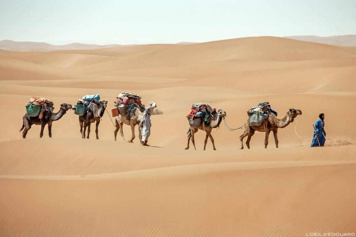 Camp Sahara Holidays محاميد الغزلان المظهر الخارجي الصورة