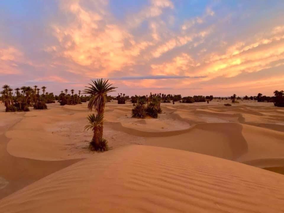 Camp Sahara Holidays محاميد الغزلان المظهر الخارجي الصورة